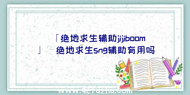 「绝地求生辅助jijiboom」|绝地求生sng辅助有用吗